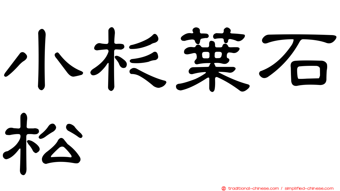小杉葉石松