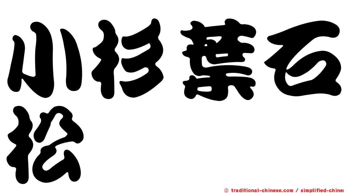 小杉葉石松
