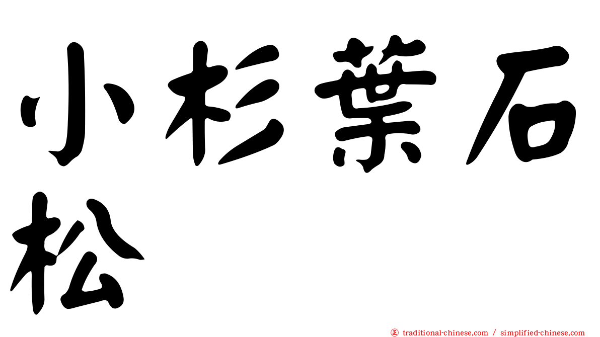 小杉葉石松