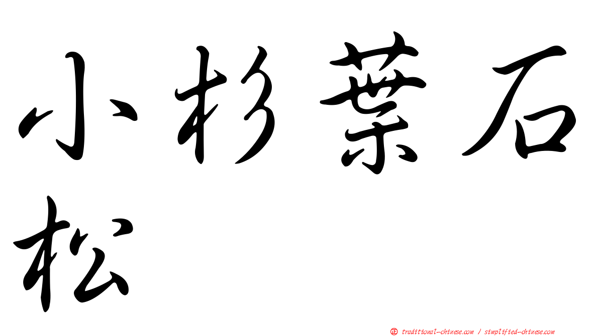 小杉葉石松