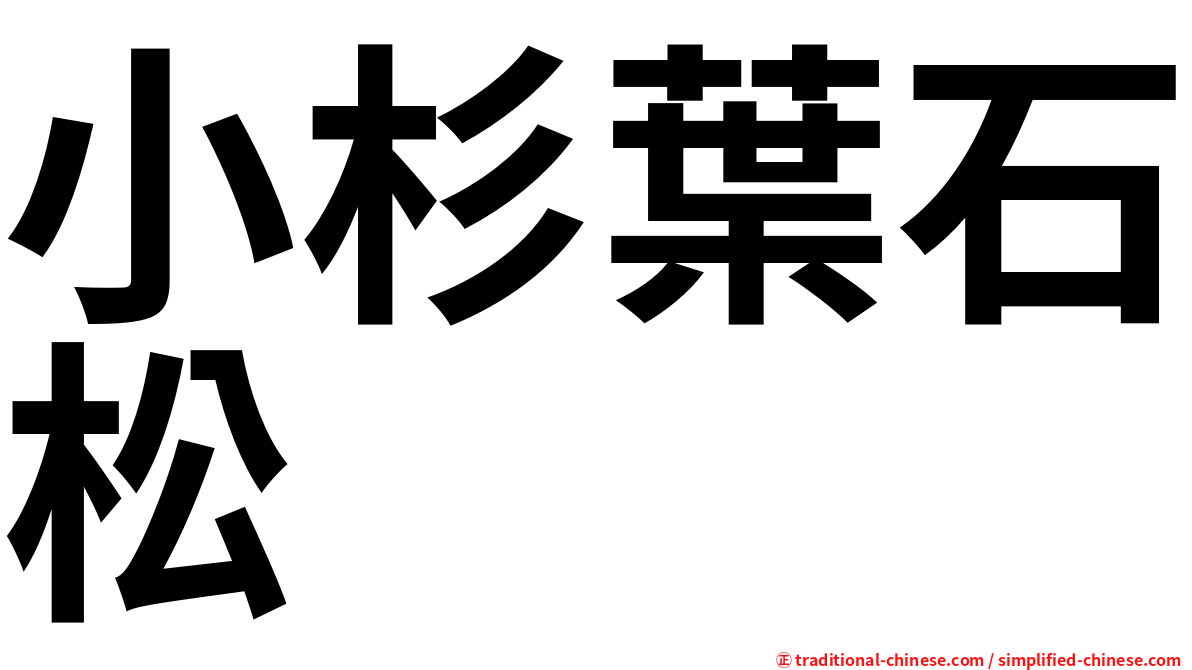 小杉葉石松