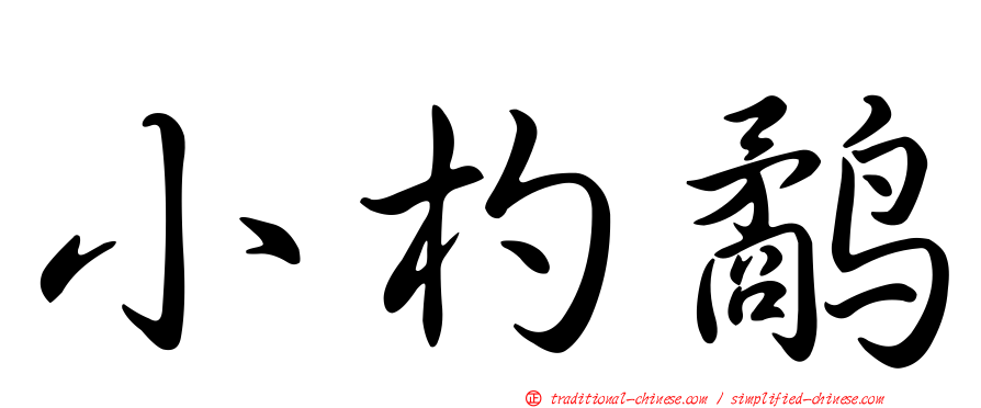 小杓鷸
