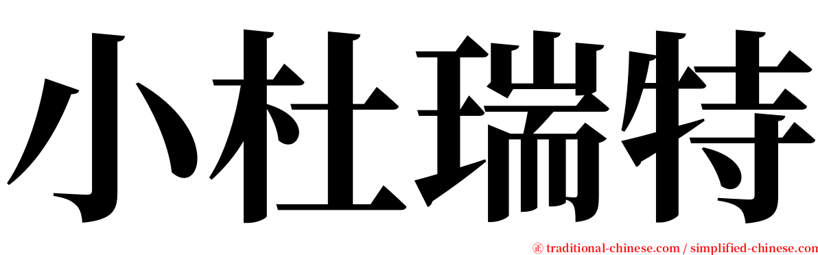小杜瑞特 serif font
