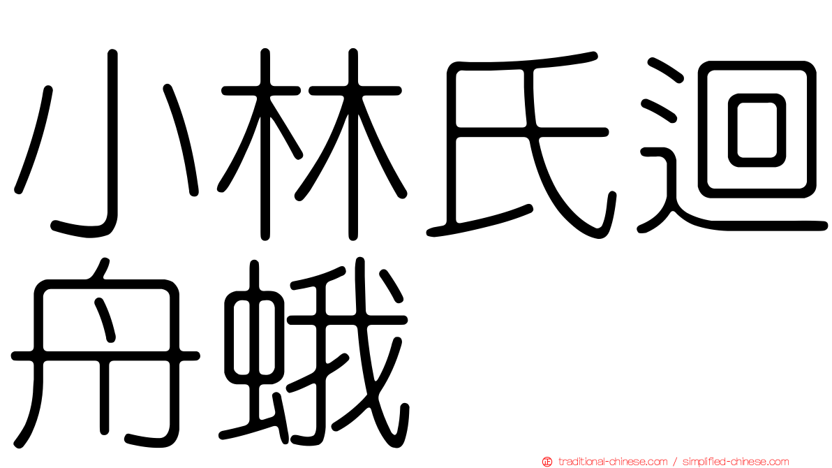 小林氏迴舟蛾