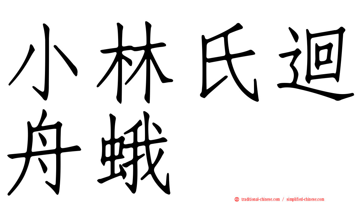 小林氏迴舟蛾