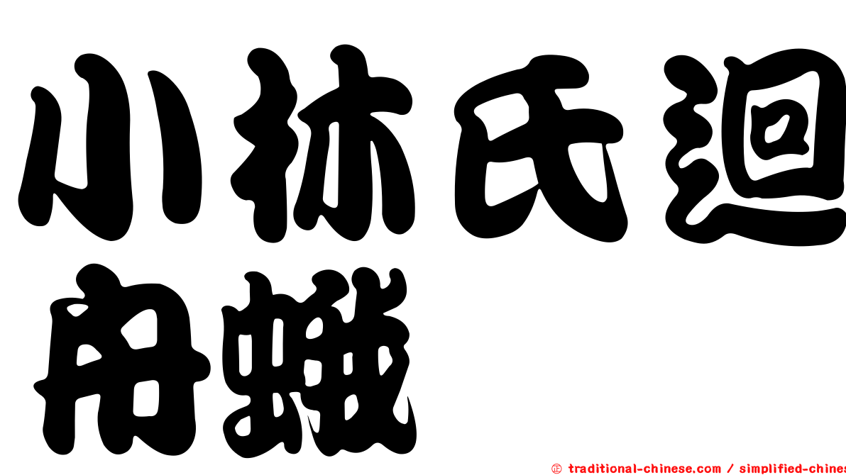 小林氏迴舟蛾