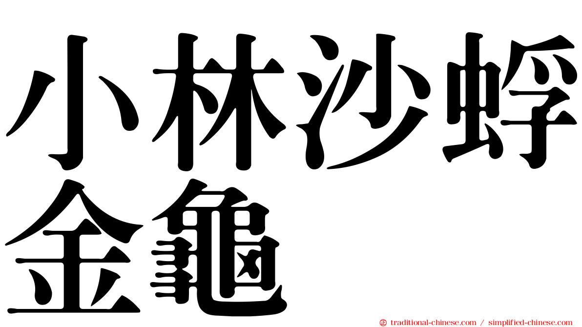 小林沙蜉金龜