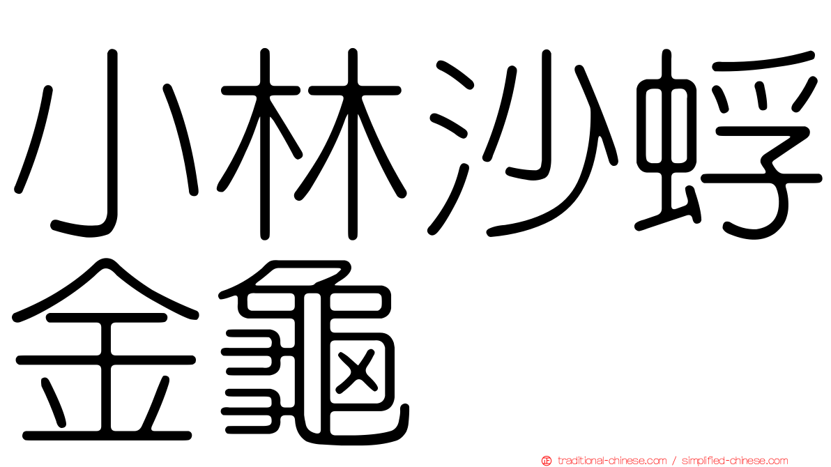 小林沙蜉金龜