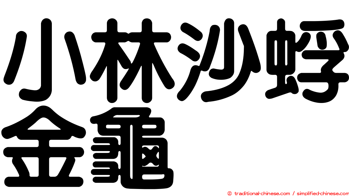 小林沙蜉金龜