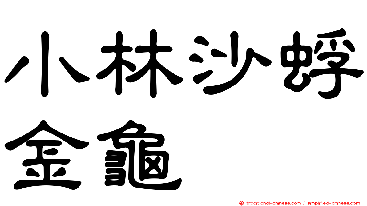 小林沙蜉金龜
