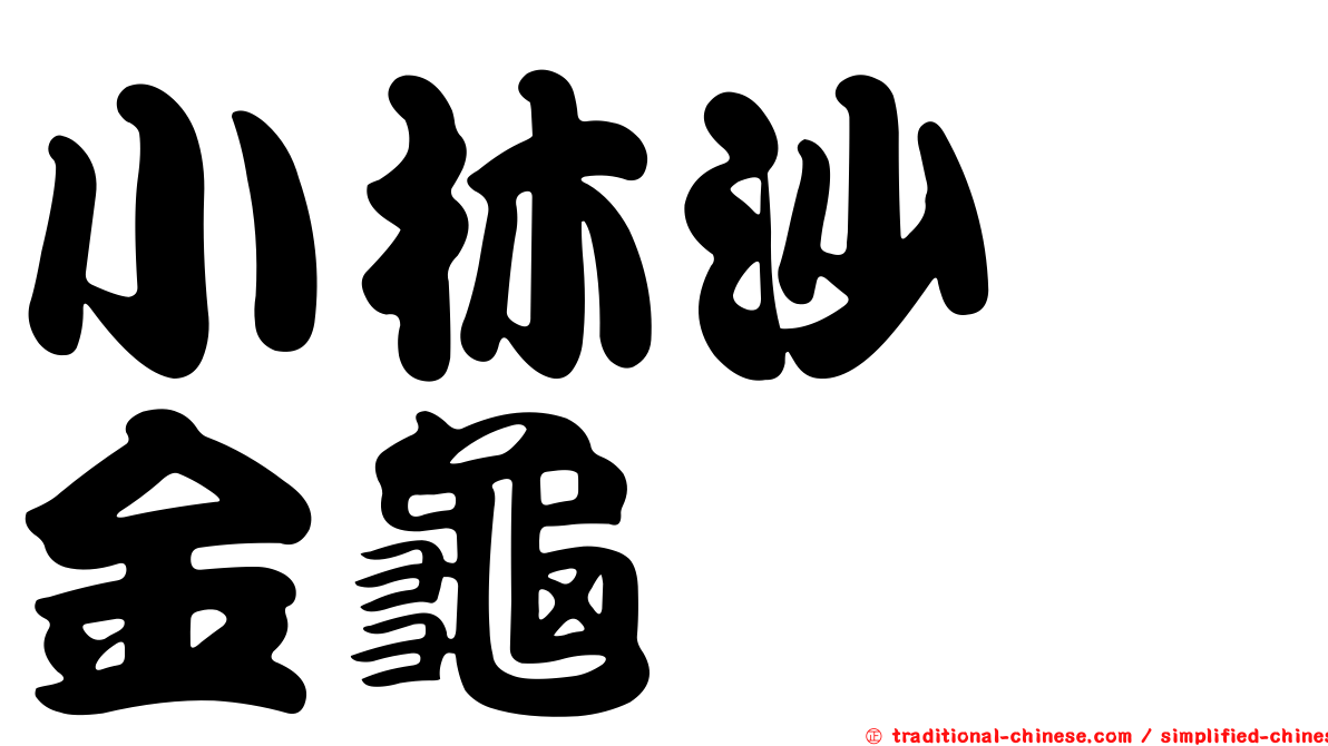小林沙蜉金龜