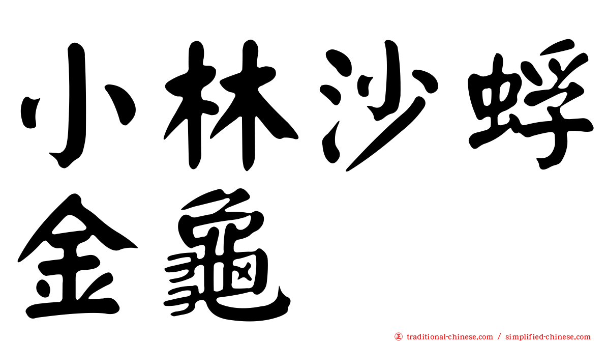 小林沙蜉金龜
