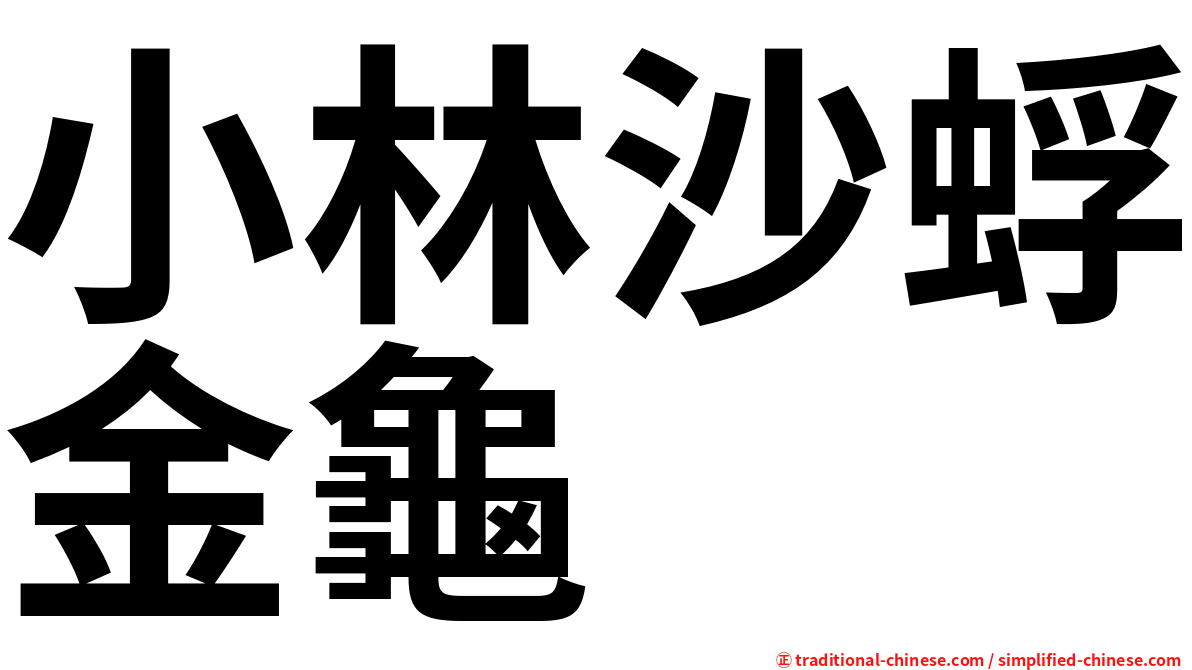 小林沙蜉金龜