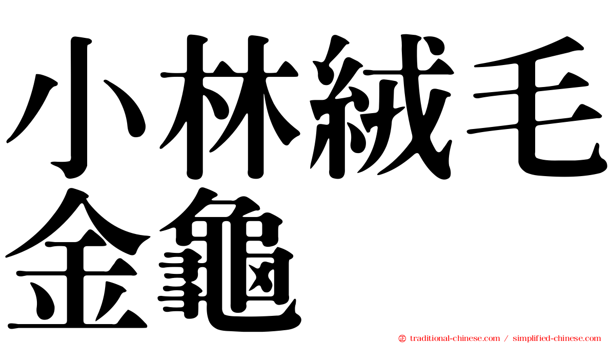 小林絨毛金龜