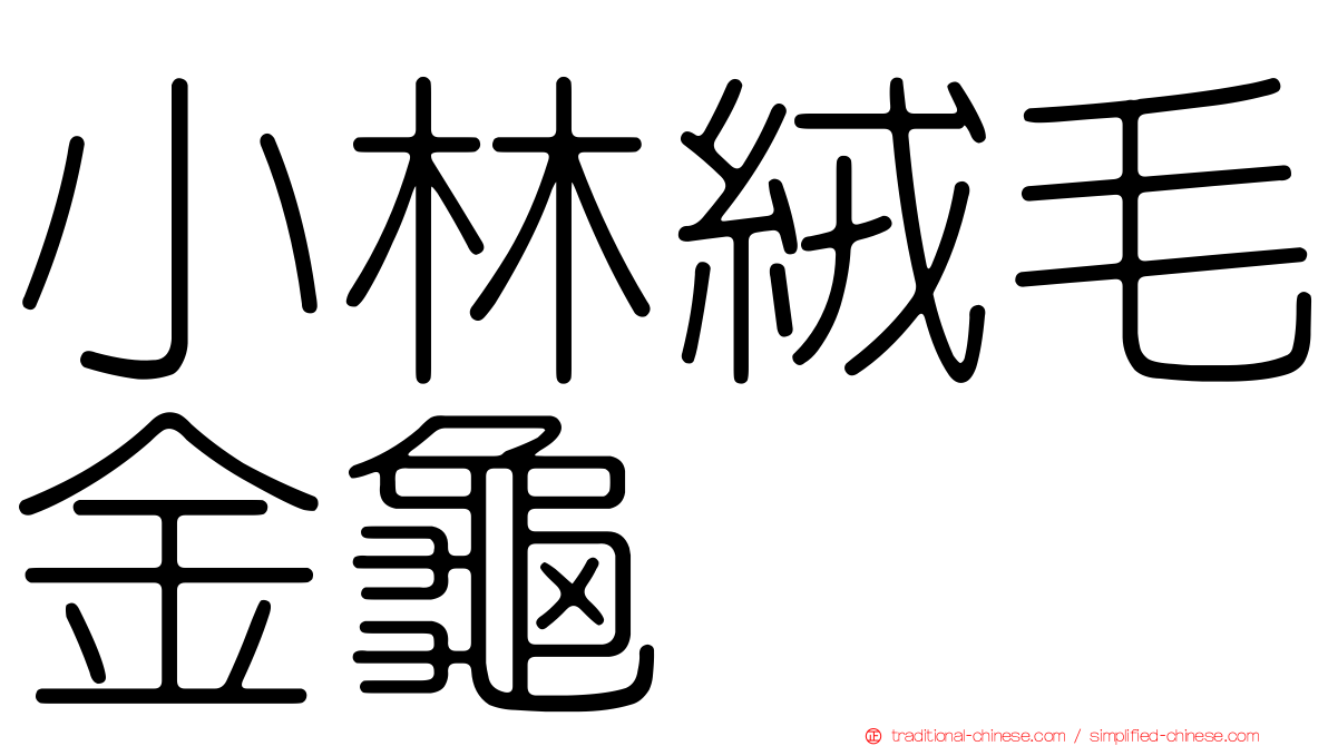 小林絨毛金龜