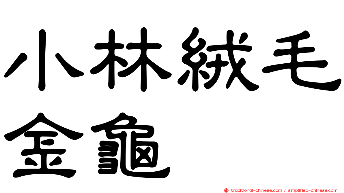 小林絨毛金龜