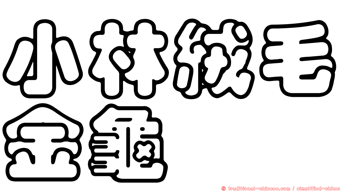 小林絨毛金龜