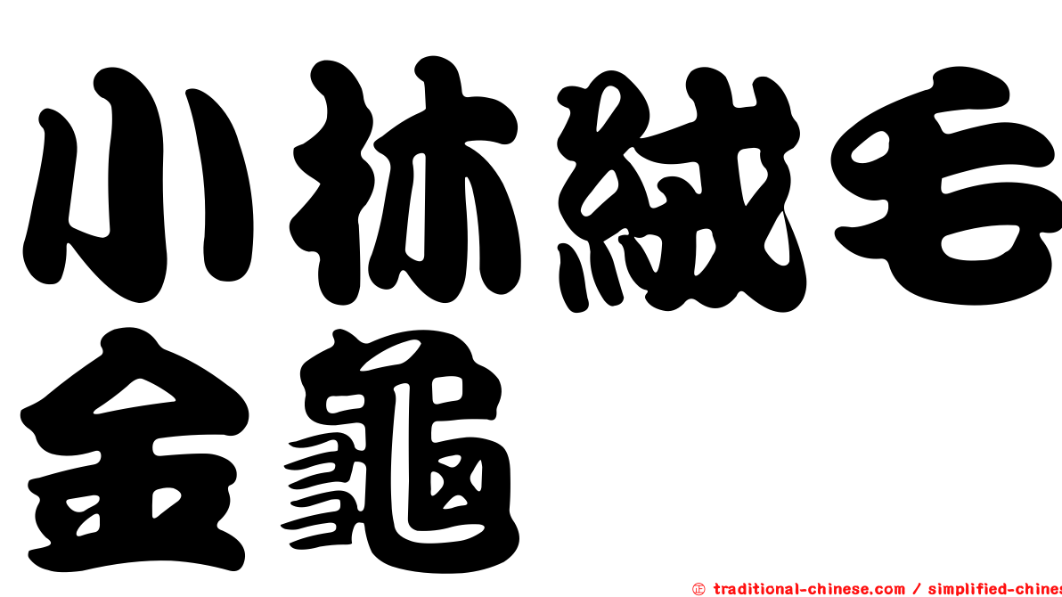 小林絨毛金龜