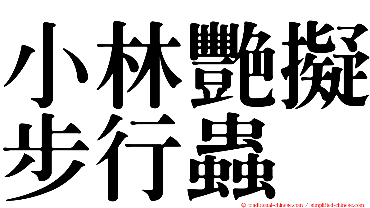 小林艷擬步行蟲