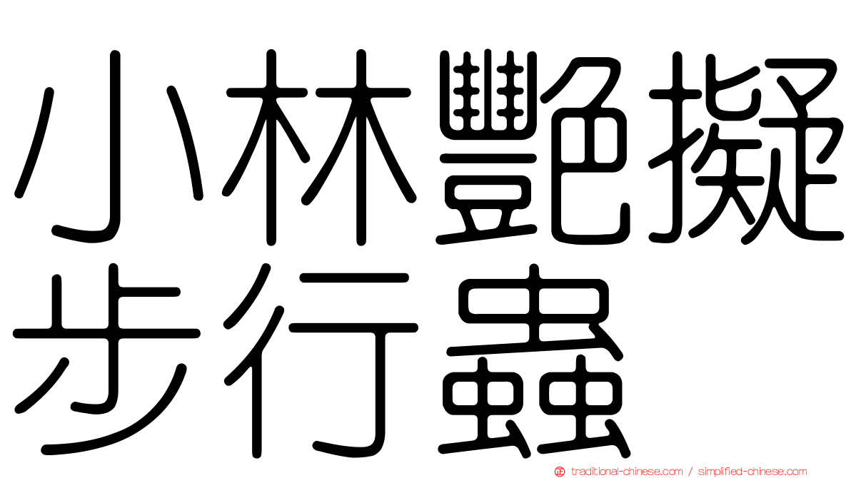小林艷擬步行蟲