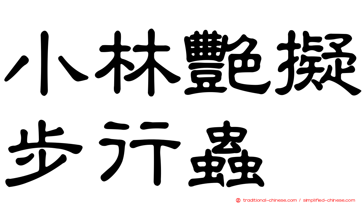 小林艷擬步行蟲