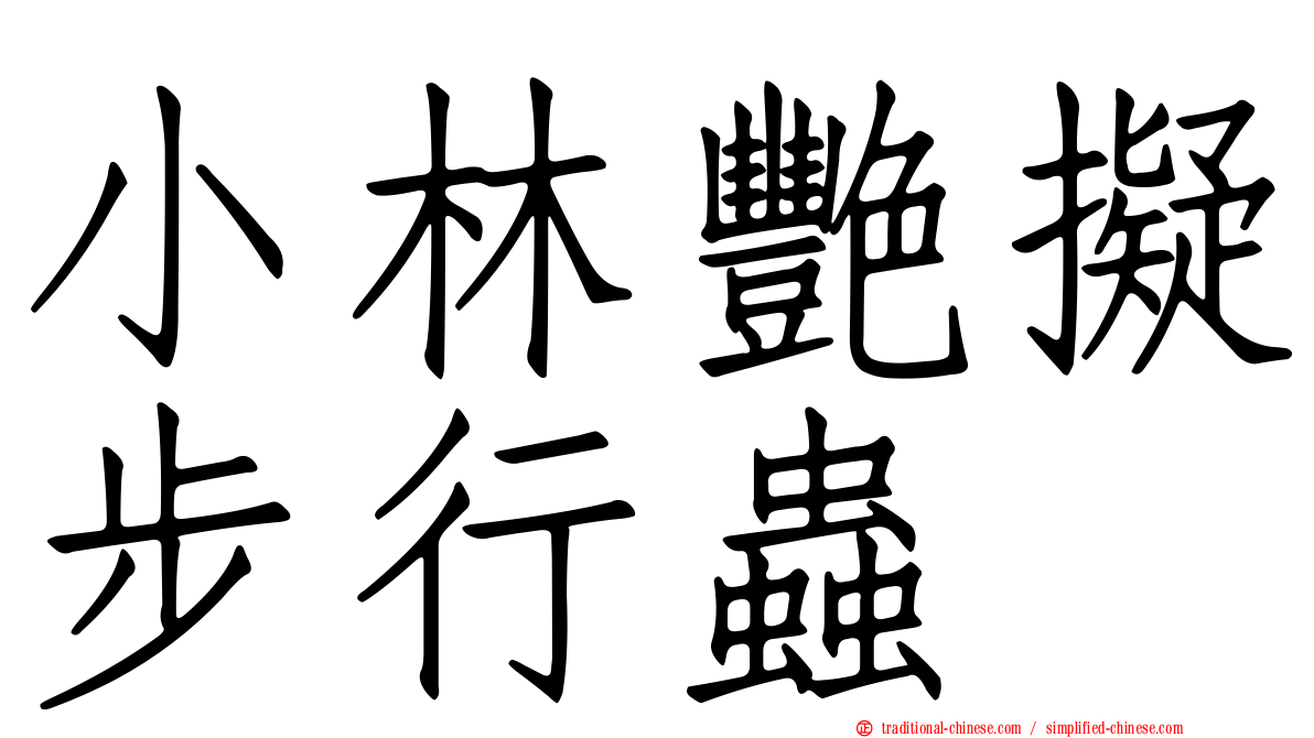 小林艷擬步行蟲