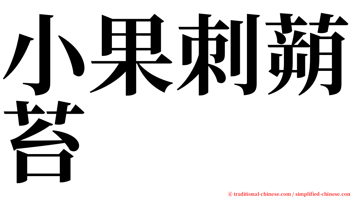 小果刺蒴苔 serif font