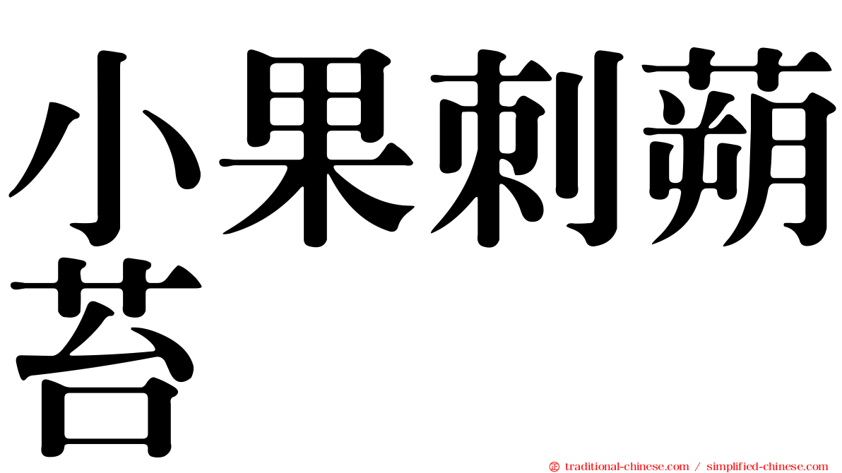 小果刺蒴苔