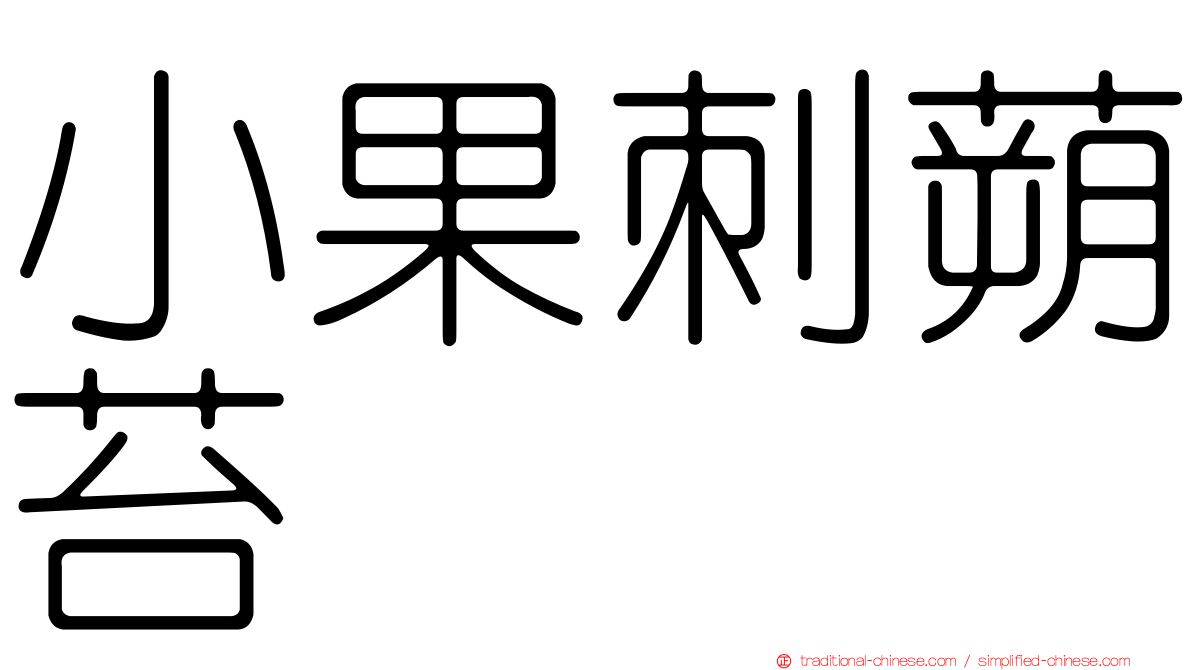 小果刺蒴苔