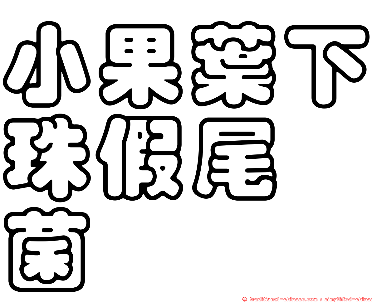 小果葉下珠假尾孢菌