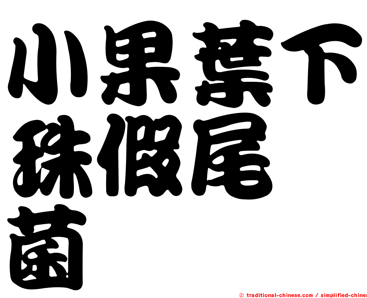 小果葉下珠假尾孢菌