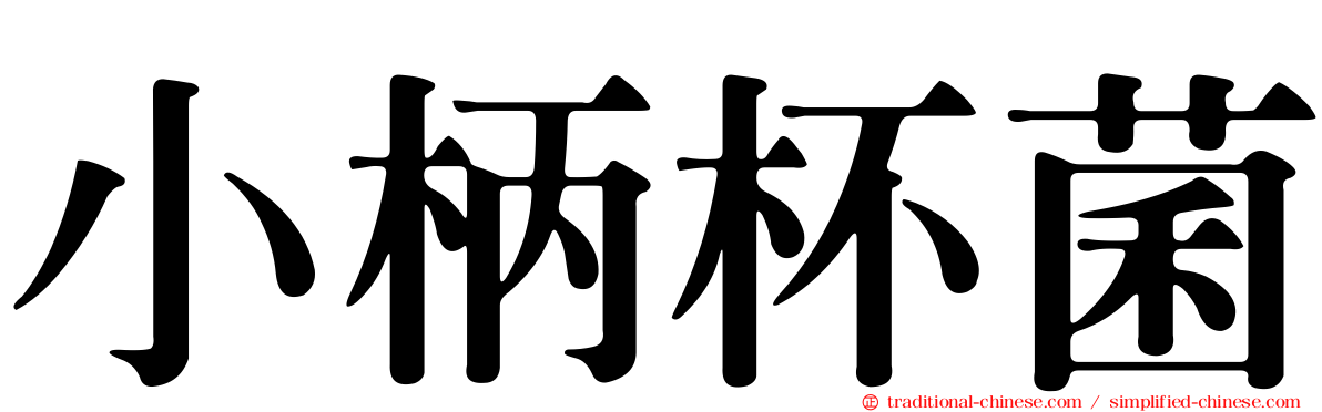 小柄杯菌