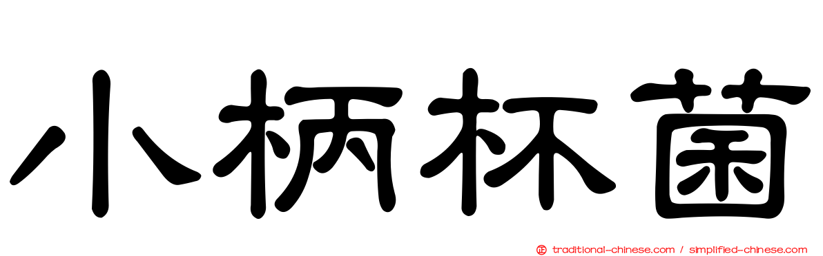 小柄杯菌