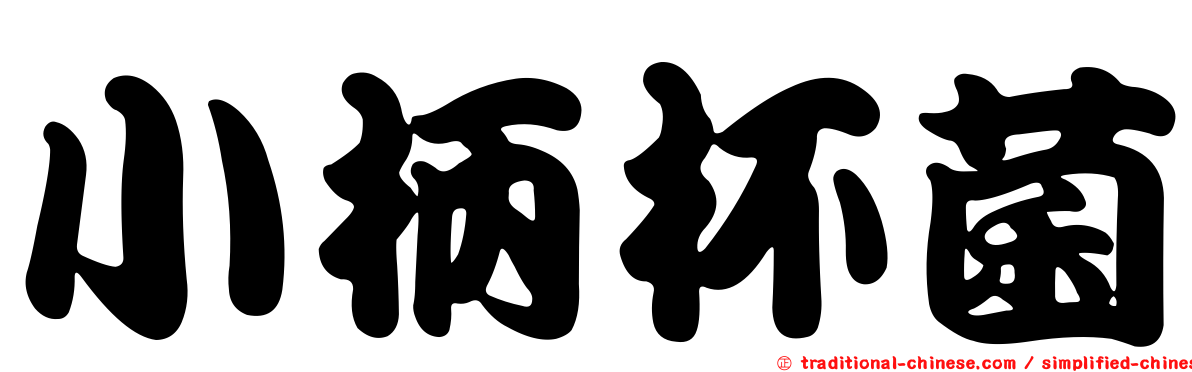 小柄杯菌