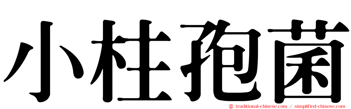 小柱孢菌