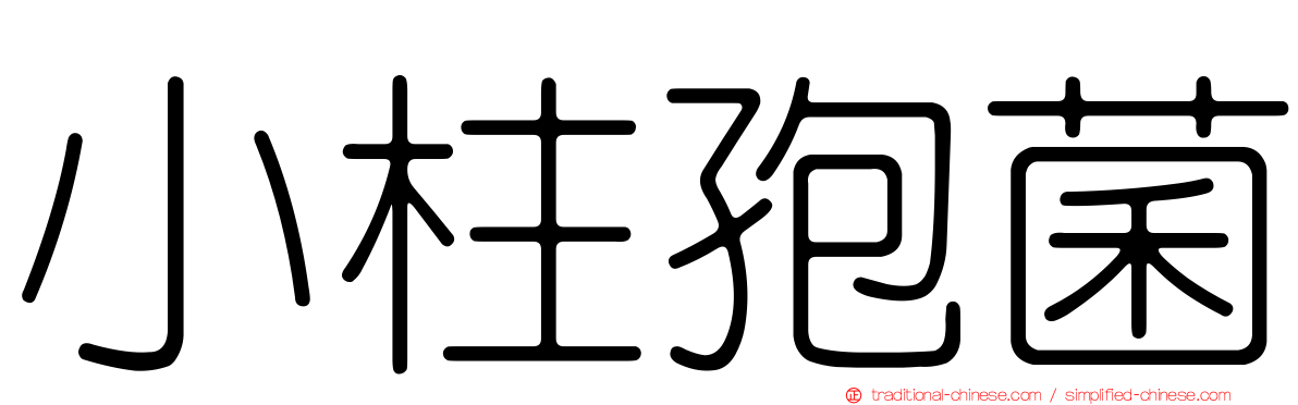 小柱孢菌