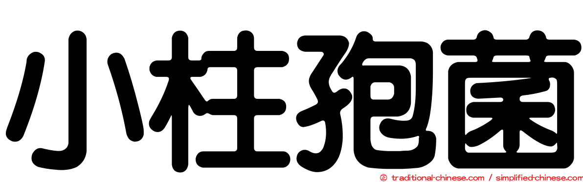 小柱孢菌