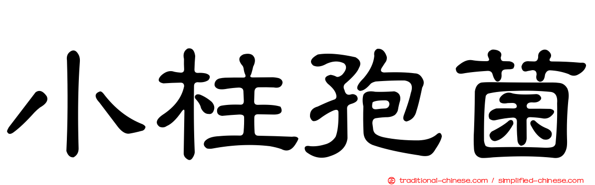 小柱孢菌