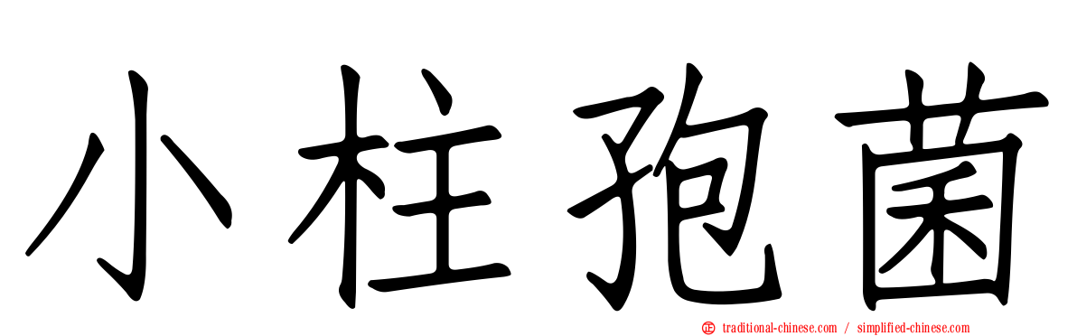 小柱孢菌