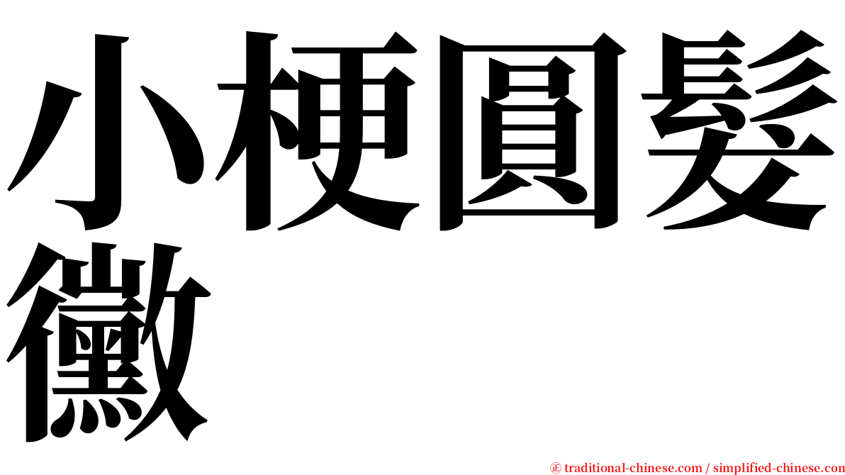 小梗圓髮黴 serif font
