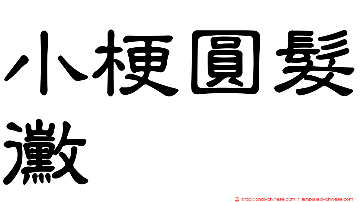 小梗圓髮黴