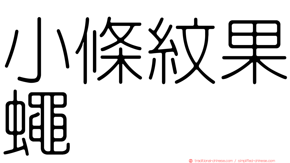 小條紋果蠅