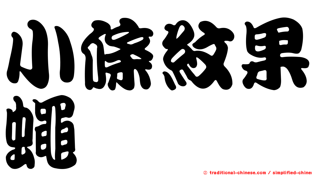 小條紋果蠅