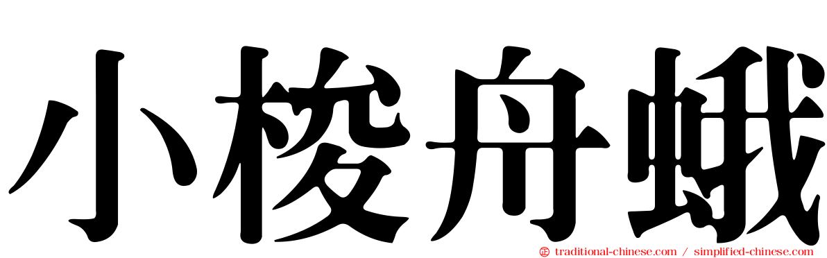 小梭舟蛾