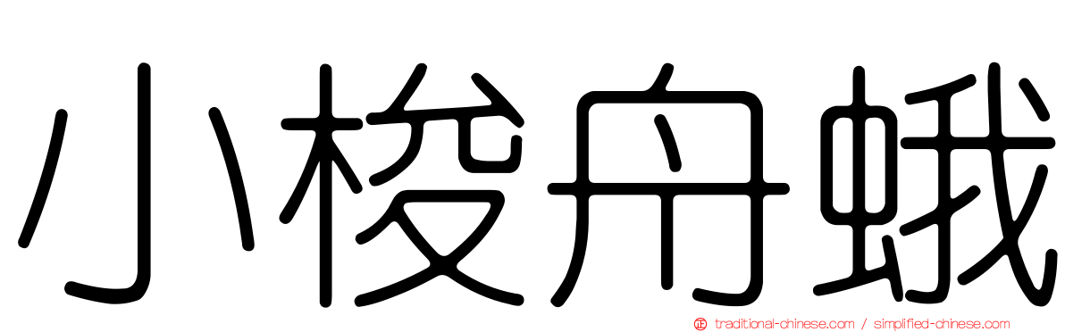小梭舟蛾