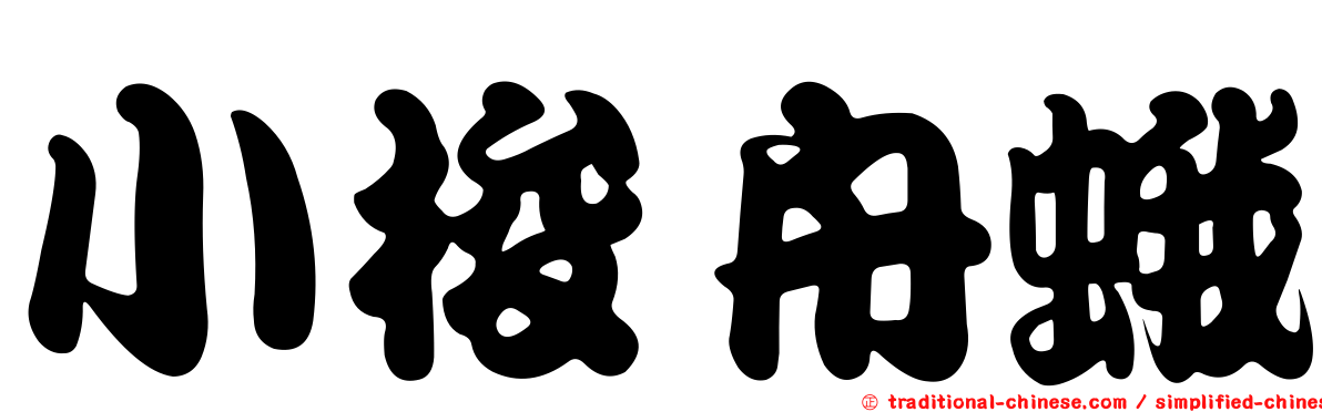 小梭舟蛾