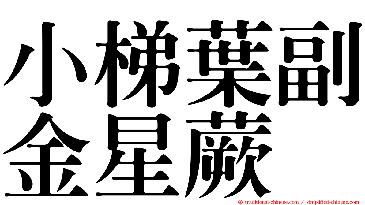 小梯葉副金星蕨