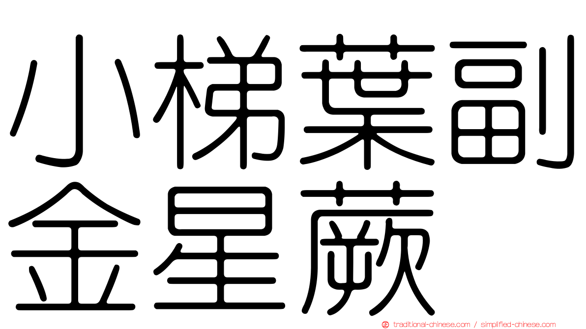 小梯葉副金星蕨