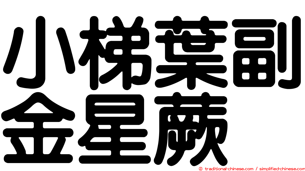小梯葉副金星蕨