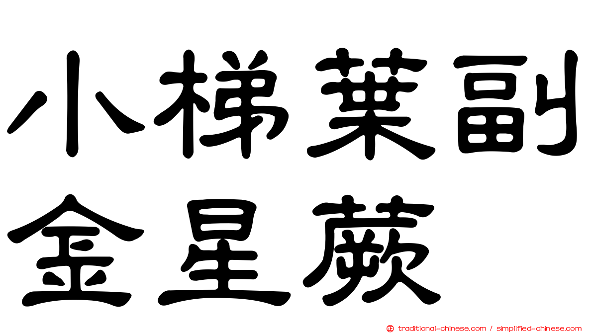 小梯葉副金星蕨